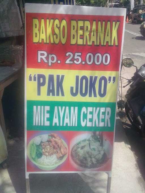 Mie Ayam Bakso Pak Joko 9