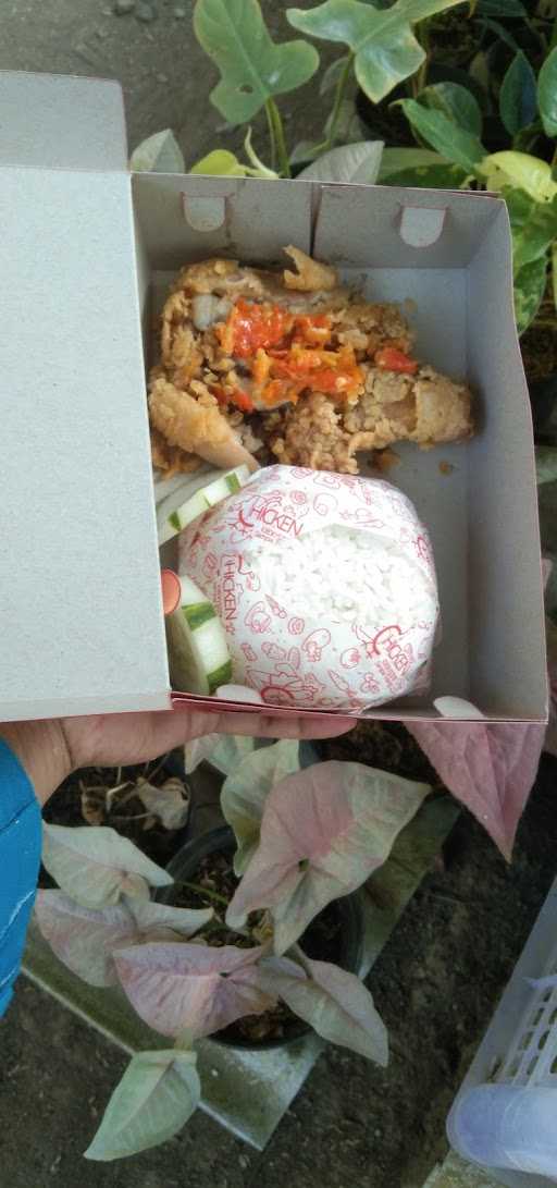 Zchicken Parakan Wetan 1