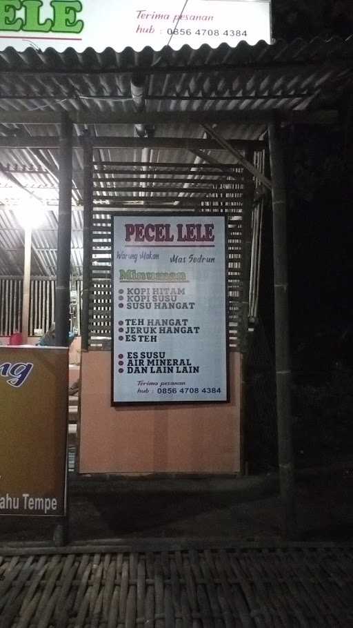 Pecel Lele Mas Sodrun 3