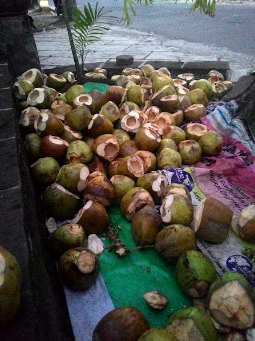 Kelapa Muda 99 Pogung Lor 2