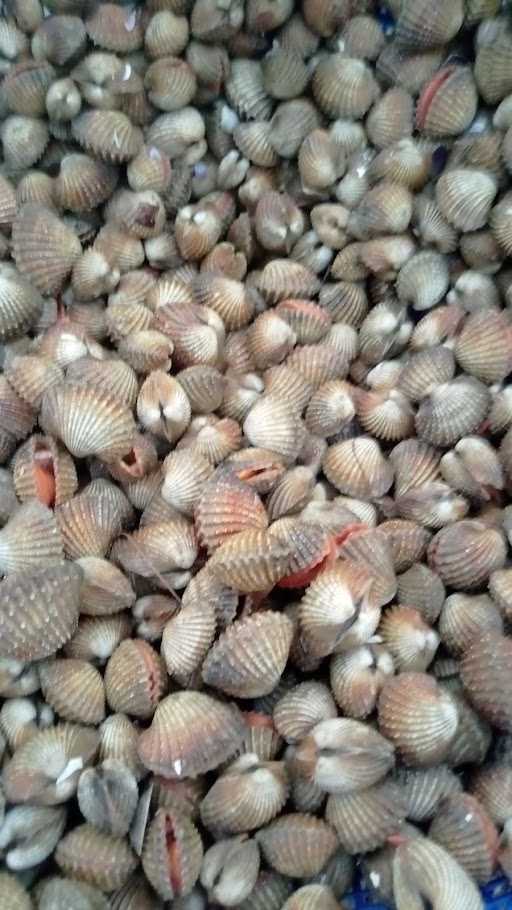 Aries Kerang/Aneka Seafood 8