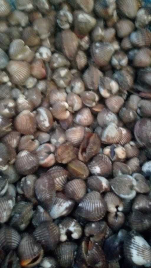 Aries Kerang/Aneka Seafood 6