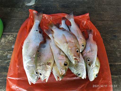 Restoran Kampoeng Blebak 2