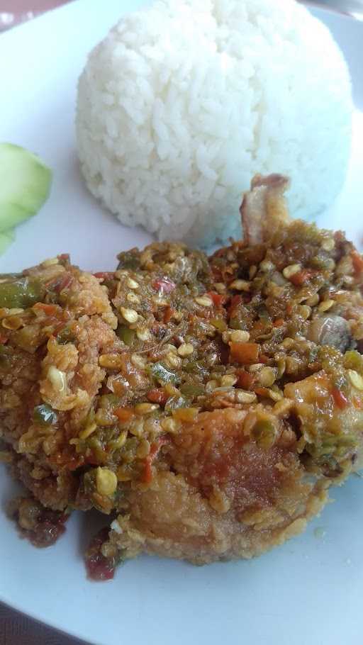 Rocket Chicken Moga 6