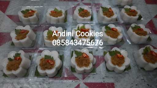 Andini Cookies 9