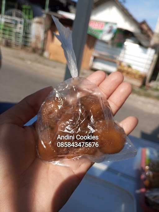 Andini Cookies 4