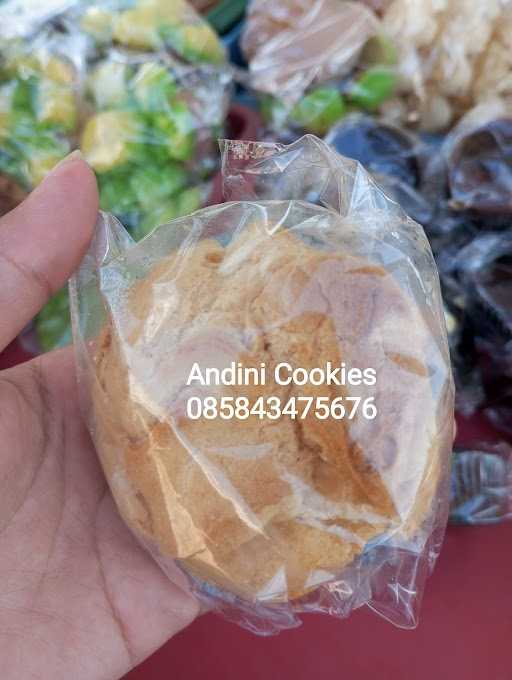 Andini Cookies 2