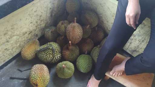 Durian Susi Yu Warni 9