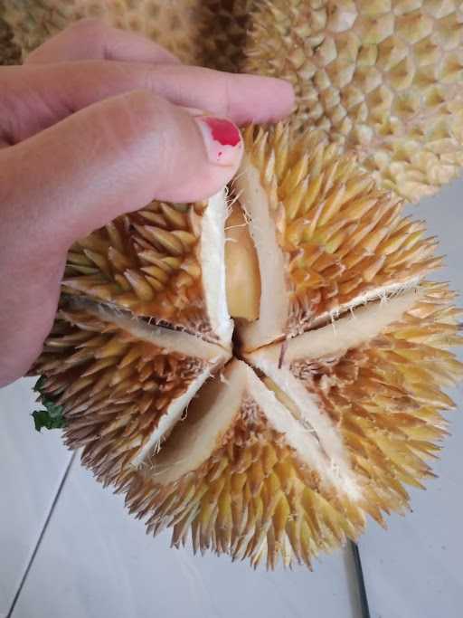 Durian Susi Yu Warni 6