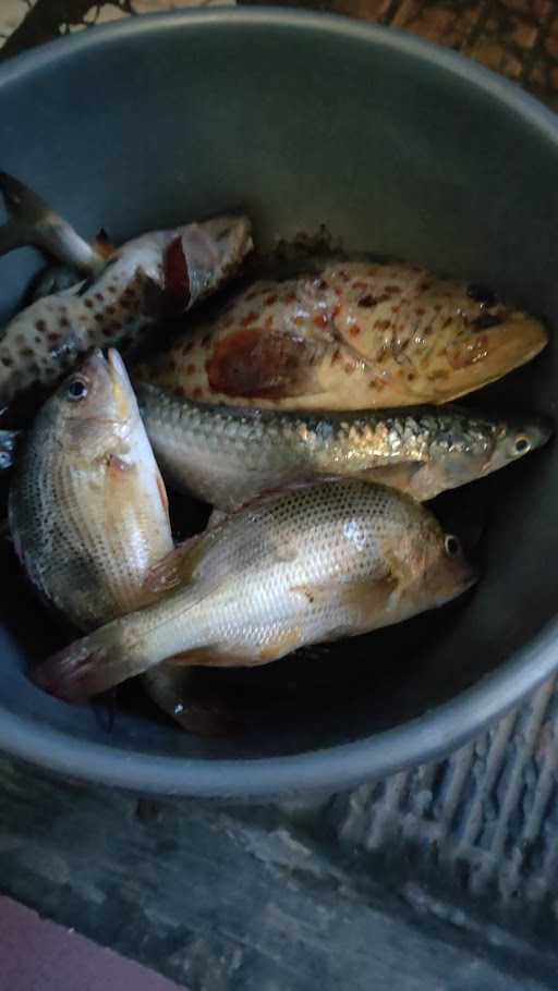 Warung/Bang Rasim Muara Semblem 1