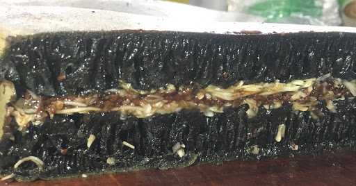 Martabak Manis Sakura 7