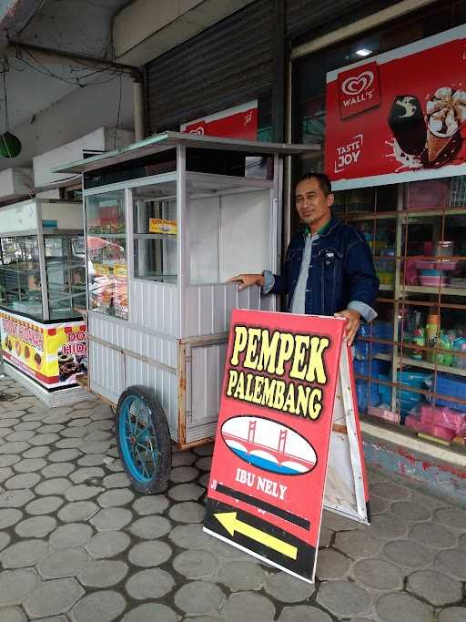 Pempek Palembang Ibu Nely 9