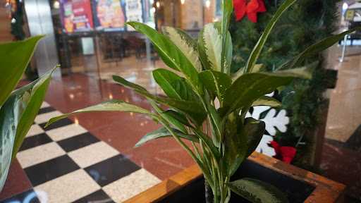 Roti Gembong Gembul Mustika Jaya Bekasi 5