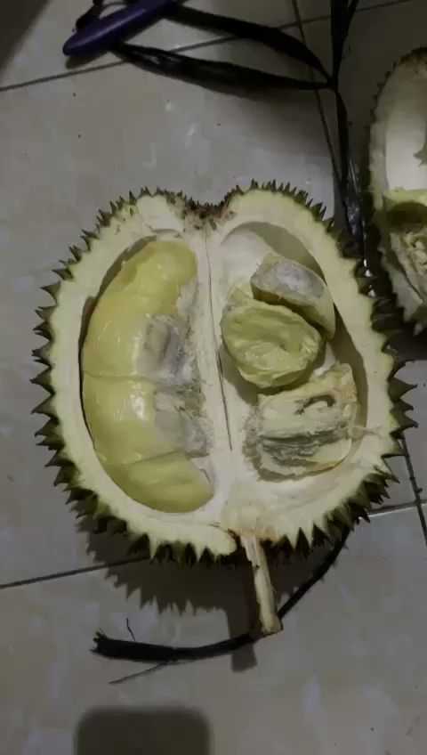 Pos Durian ꧋ꦥꦱꦝꦫꦪꦤ 1