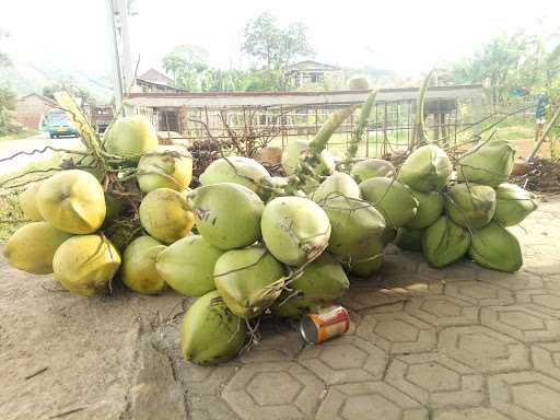 Ayam Goreng Dan Ayam Bakar 6