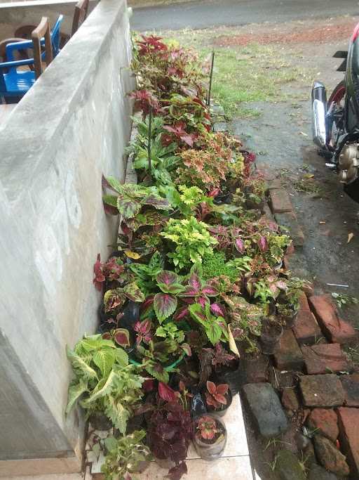 Kongkow Pinggir Sawah Kopi Erland 10