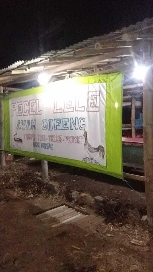 Warung Pecel Lele Dan Ayam Goreng Berkah 2