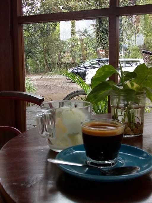 Warna Kopi 6