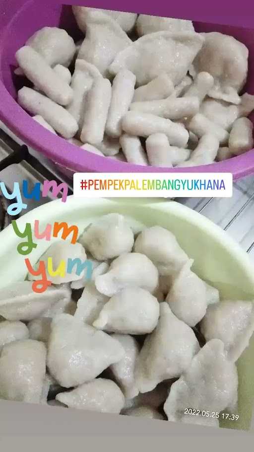 Pempek Palembang Yuk Hana 6