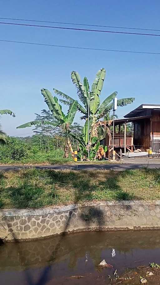 Bakso Sawah Patung Lele 5