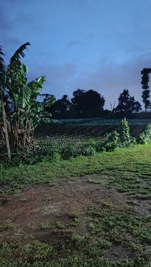 Saung Panineungan 7