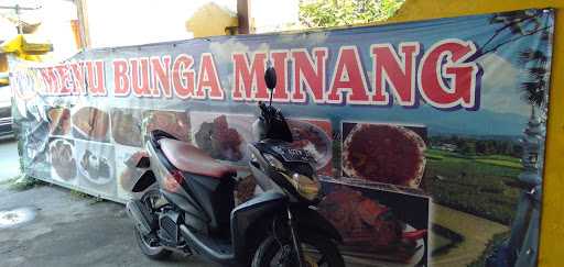 Fhazea Minang 8