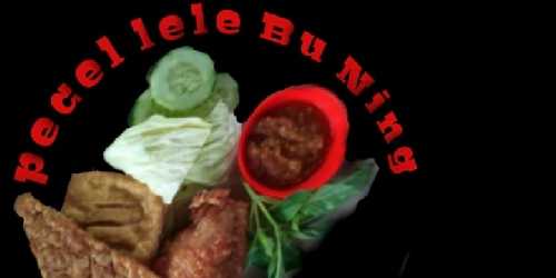 Pecel Lele Bu Ning 4