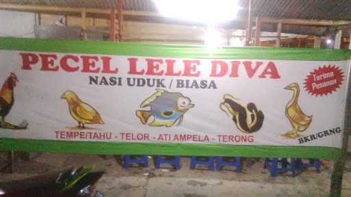 Pecel Lele Diva Ibu Eni 5