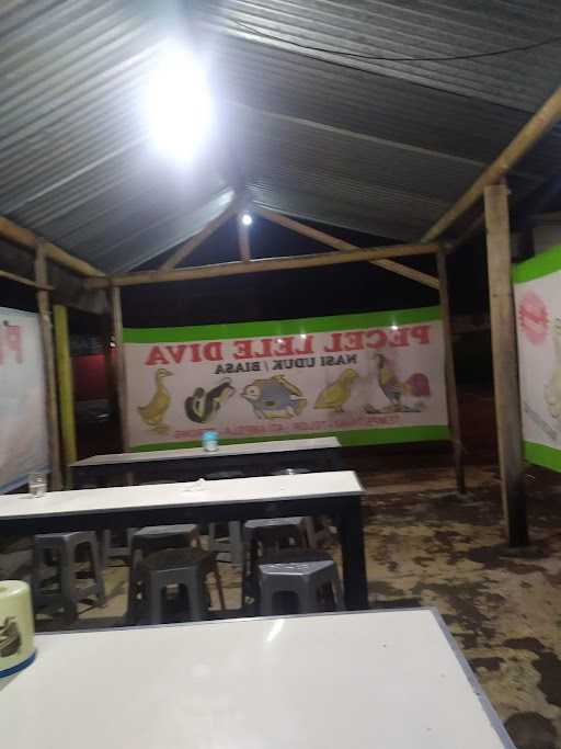 Pecel Lele Diva Ibu Eni 8