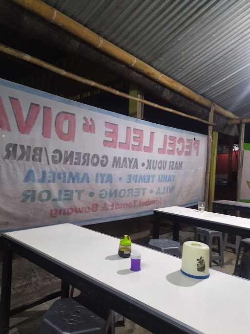 Pecel Lele Diva Ibu Eni 7