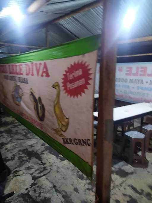 Pecel Lele Diva Ibu Eni 3