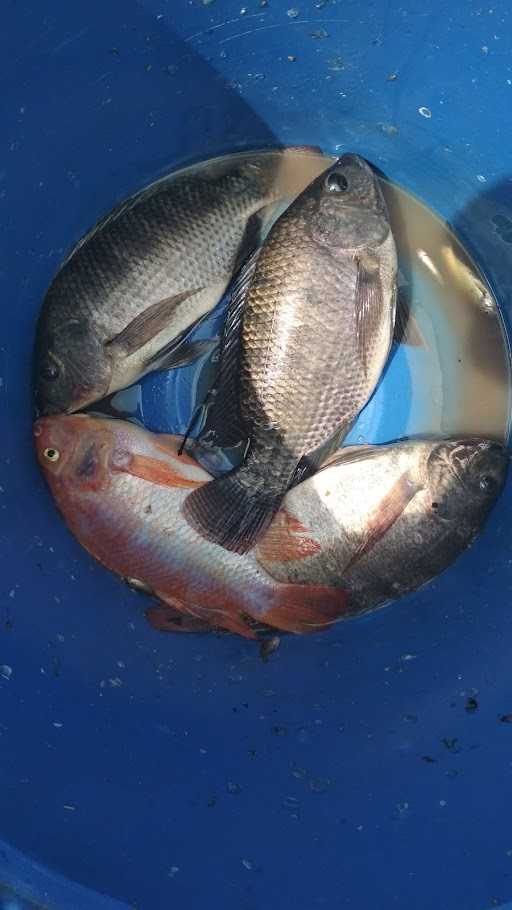 Pepes Ikan Pak Gombloh 6