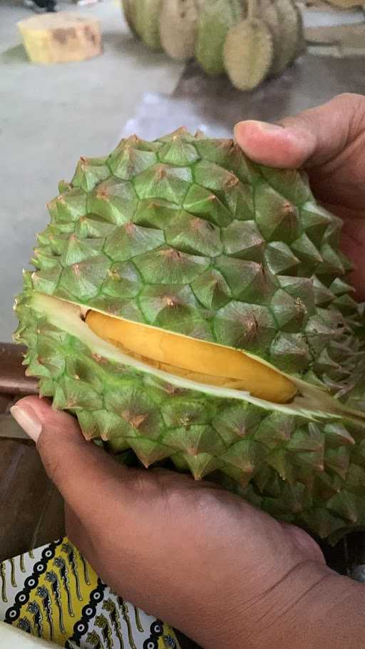 Top Durian Yogyakarta 7