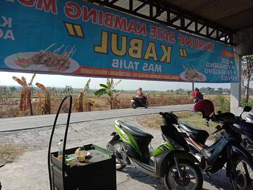 Wr Sate Kambing Muda Kabul 4