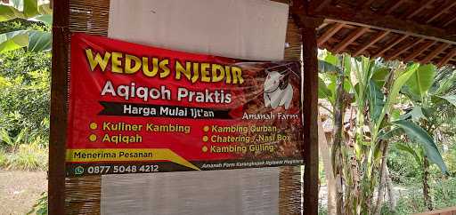 Wedus Njedir 9