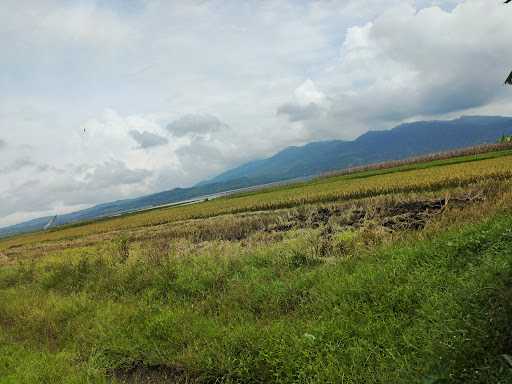 Soto Gorengan Tengah Sawah 4