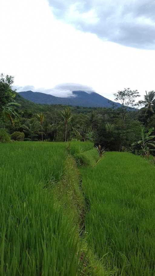 Warung Ibu Eroh 1