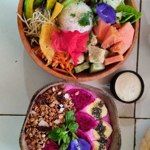 Dedari Buddha Bowls 6