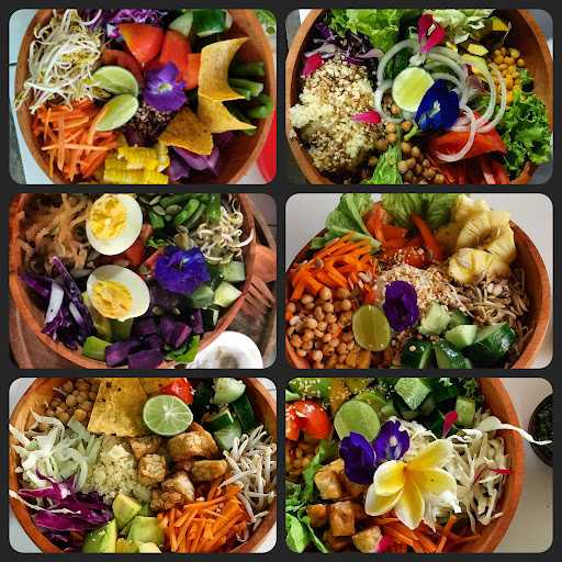 Dedari Buddha Bowls 9