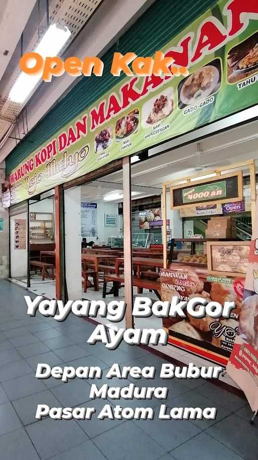 Yayang Bakgor Ayam 4