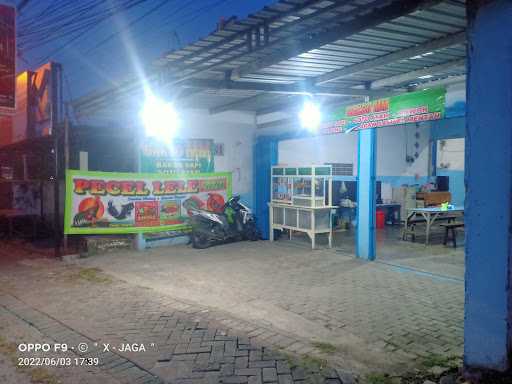 Pecel Lele Mm 3