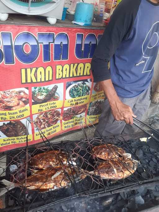 Ikan Bakar Biota Laut 7