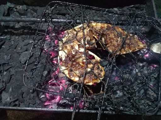 Ikan Bakar Biota Laut 5