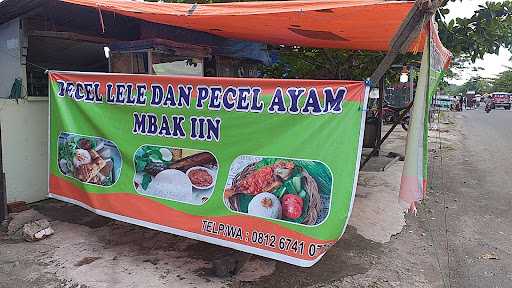 Pecel Lele & Ayam Mbak Iin 5