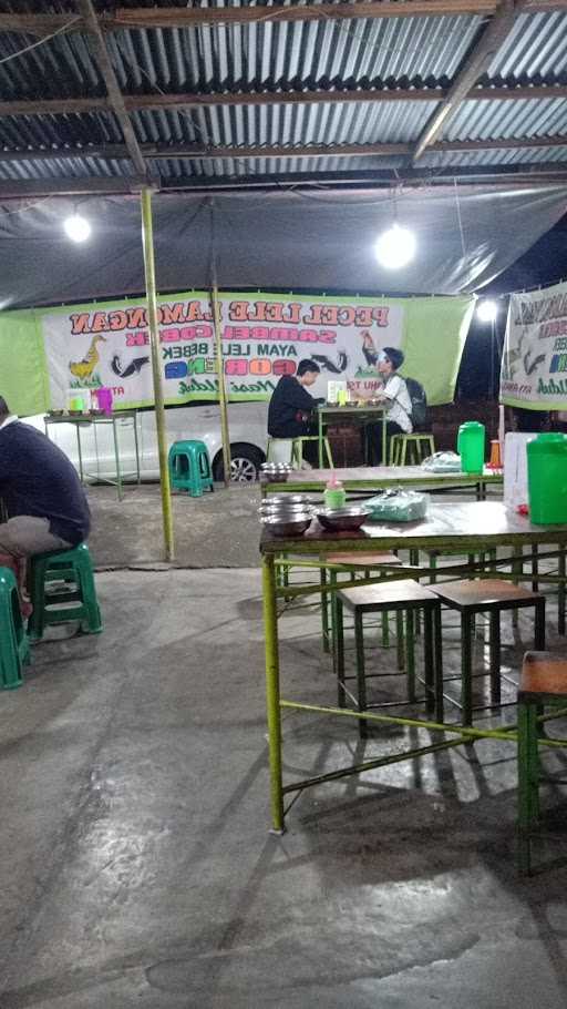 Pecel Lele Sambel Cobek Lamongan 1