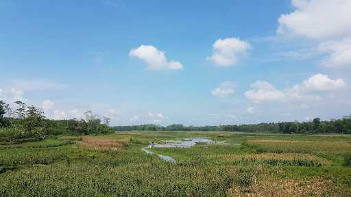 Warung Barokah Bu Wasini 7