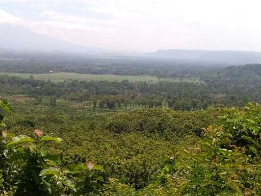 Warung Bu Gondo 10