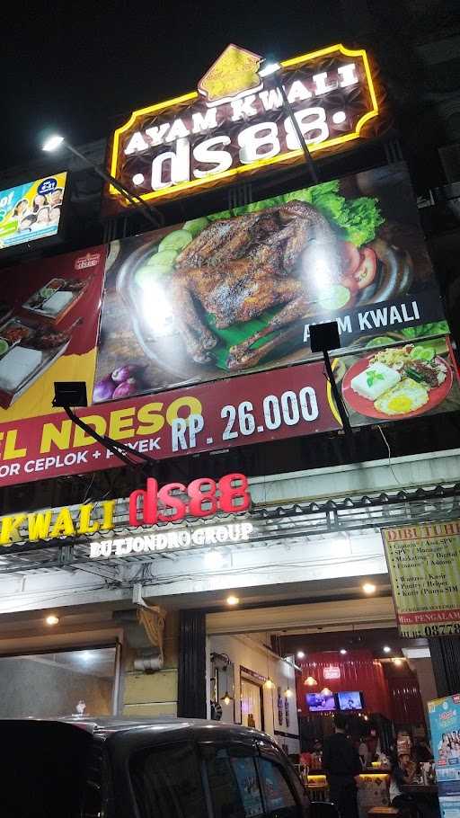 Ayam Kwali Ds88 1