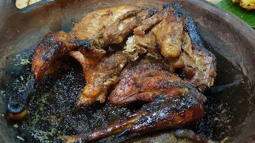 Ayam Kwali Ds88 4