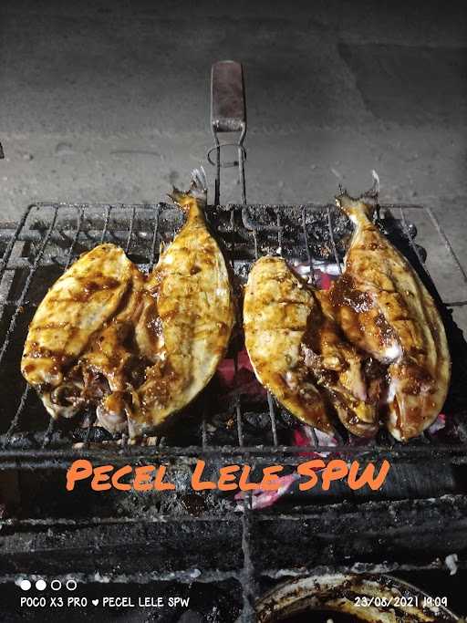 Pecel Lele Spw 2